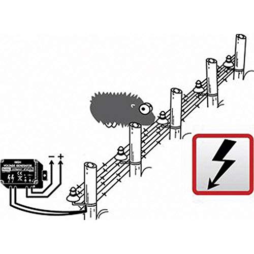 Kemo M062 Mini Weidezaun Hochspannungsgenerator 9 - 12 V/DC. Pulsierende, schwache Hochspannung von 1000 Volt. Kleintier-Elektrozäune, Einbrecherschutz, (L x B x H) 72 x 50 x 42 mm