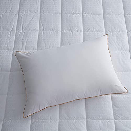 Gxbpy 1 Pair Sleeping Pillows Down Alternative Pillow Neck Spine Protection Bed Slow Rebound Cotton Cover ( Color : D , Size : 50X70 Cm ) #TOP3
