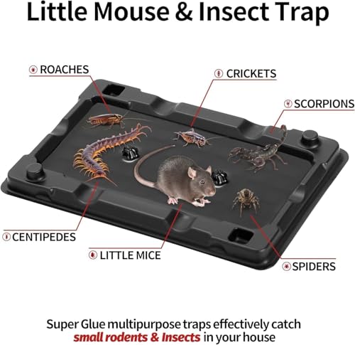 Image of LULUCATCH Mouse & Insect Traps 24 Pack, Heavier Sticky Traps with Non-Toxic Glue for Small Mice & Insects. Sticky Mouse Traps Indoor for Home, Easy to Set