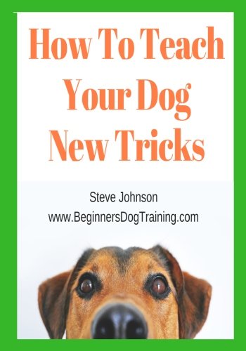 How To Teach Your Dog New Tricks