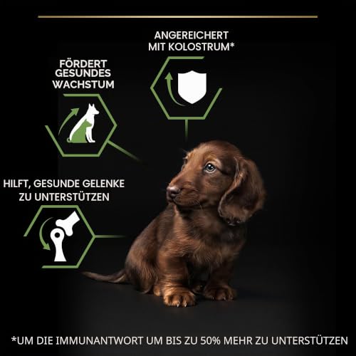 PRO PLAN Small und Mini Puppy Healthy Start, Welpenfutter, 1x3kg