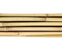 1 Stück Tonkin Bambusrohr 100cm naturbelassen, Durchmesser 2,0 bis 2,4cm - 1m Bambusstab dünn unbehandelt – Ansicht 2