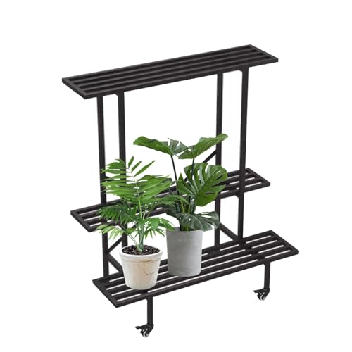 Estante de flores en escalera de 2 o 3 niveles con estructura de metal para interiores, estante creativo para macetas, para sala de estar, estante de almacenamiento esquinero de hierro color negro(Typ