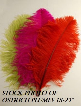 1 Pc Ostrich Feather Plume 18