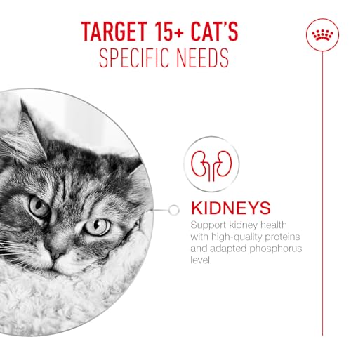 Royal CANIN AGEING 15+ | 400 g | Trockenfutter für Seniorkatzen ab 15 Jahren | Formel mit dem HealthyAge7-Komplex | enthält leicht zu kauen Kroketten
