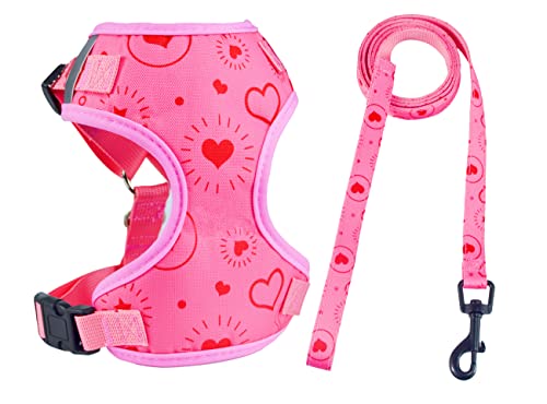 Moonpet Valentine's Day Dog Harness Leash Set/Soft Gentle No Pull No Choke Dog Harnesses/Adjustable Breathable Mesh Step in Dog Vest Harness for Small Medium Large Dogs-M