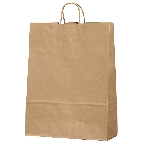 タカ印 ギフトバッグ 50-6401 手提げ 未晒無地 特大 10枚