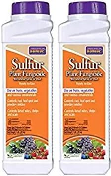 BONIDE Product 141 Sulfur Plant Fungicide, 1 Pound (2)