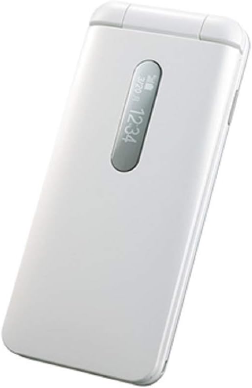 真作】掛軸 仲田龍安 金魚 人気画家 精密描写 共箱入 O174 真作】掛軸