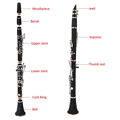 De Viento, Musical Instruments Imagen adicional