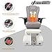 Dolphin Pedicure Chair for Nail Spa with Massage, Heat, USB, Air Vent & Bubble System – Includes Stool, Pillow, Magnetic Jet Heads & Discharge Pump – Luxury Spa Station