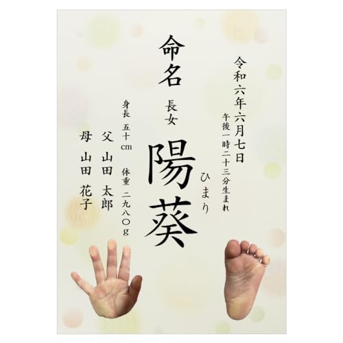  ` ` ʕ ̎qp  I[_[ A4 ~l[gH  (1)