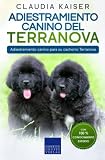  Adiestramiento canino del Terranova: Adiestramiento canino para su cachorro Terranova