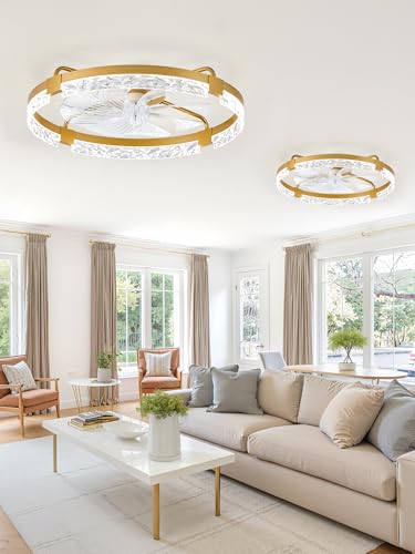 Image of LEDIARY 2-Pack 24 inch Ceiling Fans with Lights, APP & Remote, Gold