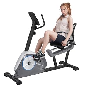 Recumbent Exercise Bike for Adult and Seniors,LUXECYCLES Stationary Bike,350 lbs Capacity,16-level Magnetic Resistance and Comfortable Adjust Seat
