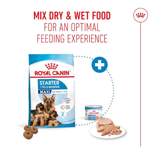 Image of Royal Canin Maxi Starter, Mother & Babydog Food, 15 Kg, Dry Food, Supports Complex Natural Defence & digestive health, Provides Gestation /Lactation Support, Supports Easy rehydration