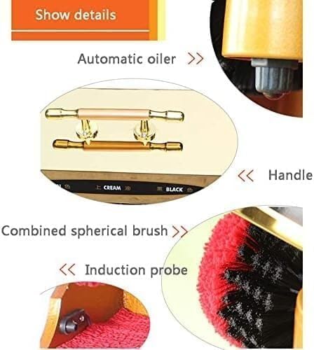 Cireuse de Chaussures électrique, cireuse de Chaussures à Induction Automatique, capteur Infrarouge entièrement Automatique, cireuse de Chaussures en Cuir d'hôtel Commercial dans Le Hall d(Color:noir)