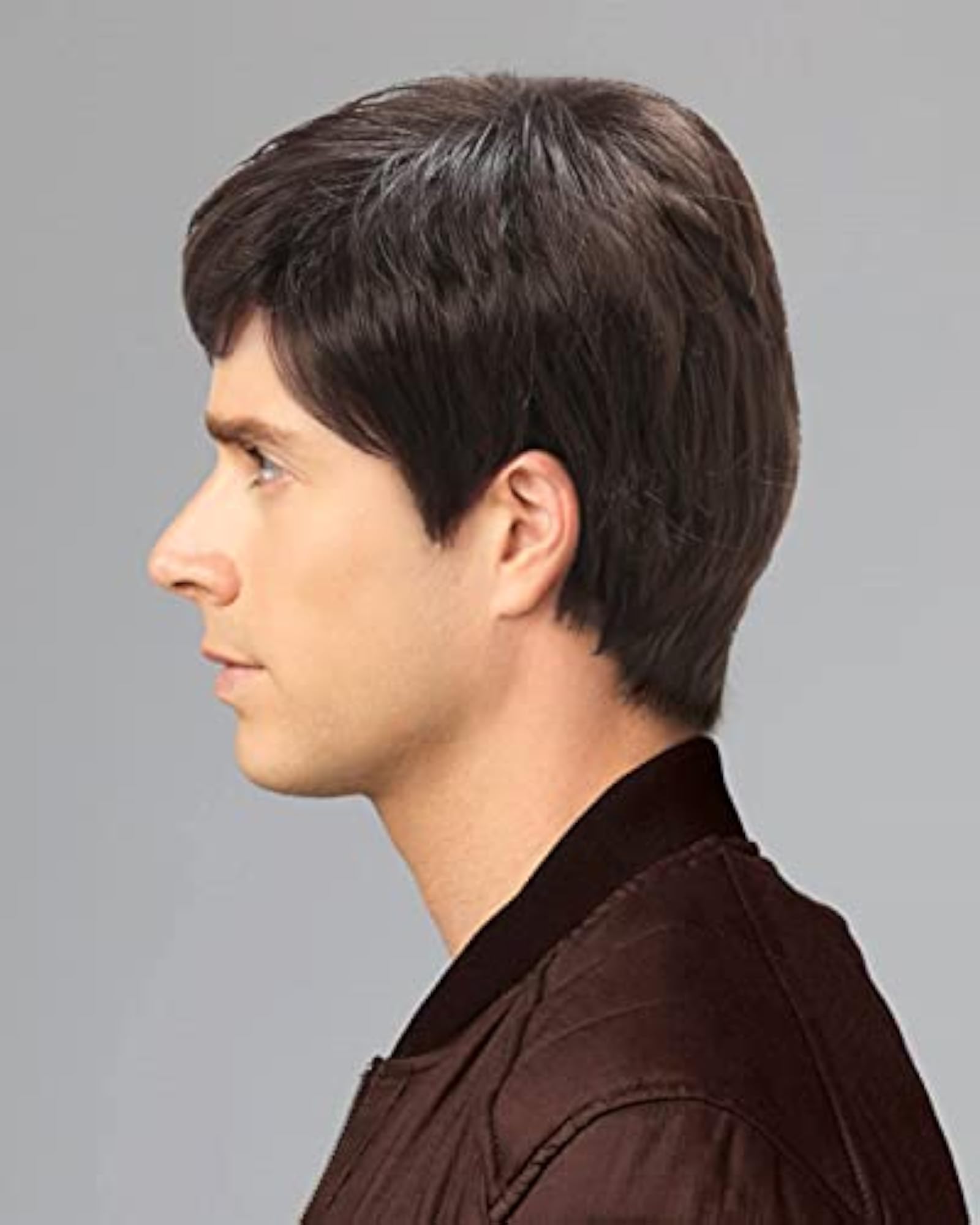 Men's Short Wavy Synthetic Wig, Brown