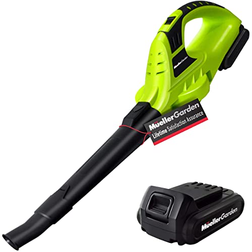 10 best cordless lawn blower Quick Guide Pro