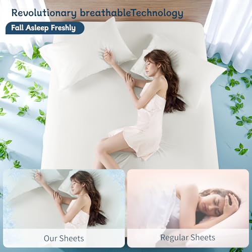 image for Shilucheng 4 Piece Queen Sheet Sets, Breathable Hole Structures 100% C