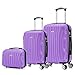 RAYKONG Juego de Maletas ABS Rígida 3 Piezas|Maleta Cabina 55cm|Maleta Mediana 68cm|Neceser 29cm|Morada