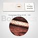 BoliOptics 5 Prepared Microscope Slides Basic Biology Specimen Set Plant and Animal Cells for Students Hobbyists Beginners Kids Homeschool, SL39901002, Image 4 BoliOptics 5 Prepared Microscope Slides Basic Biology Specimen Set Plant and Animal Cells for Students Hobbyists Beginners Kids Homeschool, SL39901002, Image 4