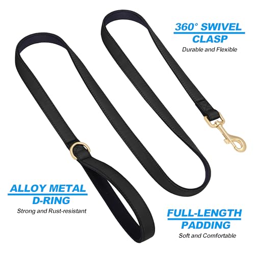 Didog 5FT Colorful Nylon Dog Leash with Soft Full-Length Padding, Lightweight and Durable Pet Leash for Small Dogs, Black, S by Didog - Image 4