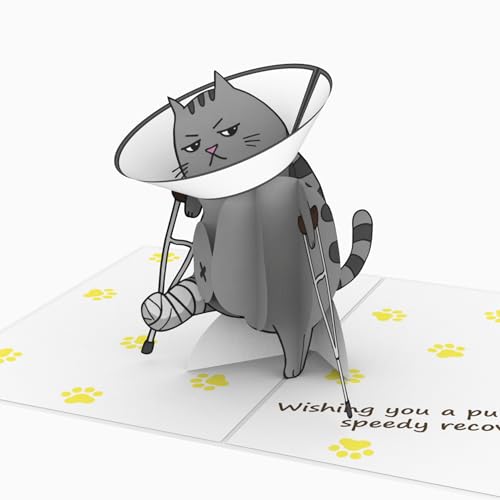 Carte pop-up 3D Get Well Soon et carte de vœux de récupération chat