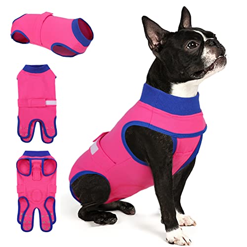 Comparison of Best Onesie For Dogs After Surgery Top Picks 2023 Reviews
