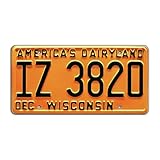 That ‘70s Show | IZ 3820 | Metal Stamped License Plate