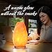Himalayan Glow Natural Himalayan Salt Lamp with Dimmer Switch - All Natural and Handcrafted with Wooden Base – 6-8 lbs