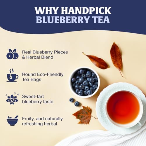 Image of HANDPICK Blueberry Fruit Tea(100 Teabags)Fruity, Floral & Refreshing Flavor