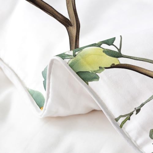 Parure de lit 100% coton 200x200 cm Loussiesd blanc cassé