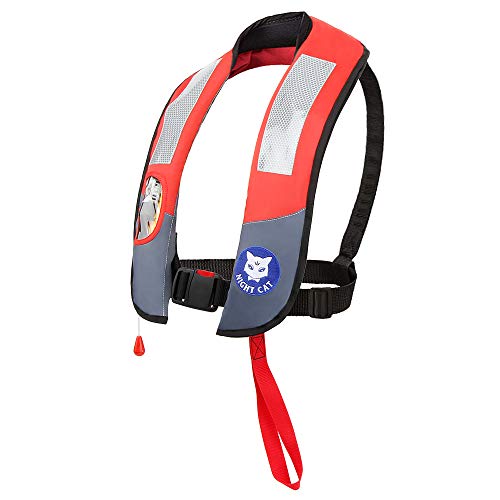 10 Best Life Jackets for Cats to Keep Your Feline Friend Safe and Stylish