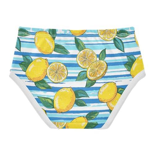 Wusikd Lemons Lemon Slices Girls' Underwear Cotton Blue Stripe Girls Briefs Soft Toddler Underwear 2T2