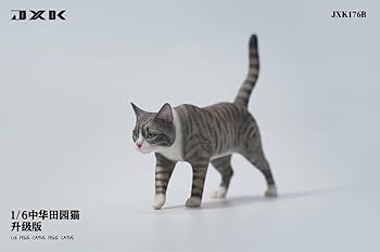 Amazon.com: WLNTDOLA 1:6 Scale Felis Catus Figure Realistic