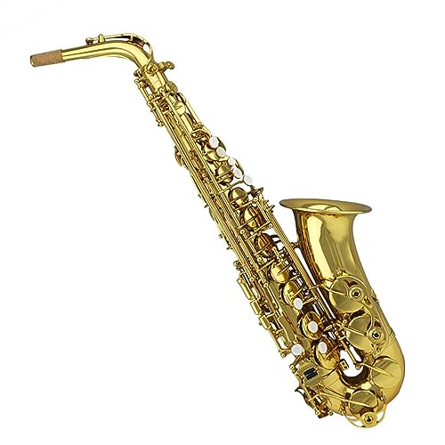 vtFbVi TbNX NVbNȍ\̎蒤S[hbJ[AgTbNXA}EXs[XƃP[Xt