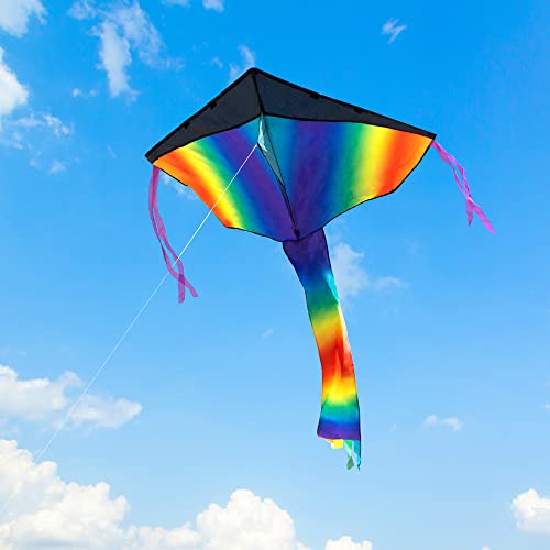 Joyin Delta Rainbow Kite Easy To Fly Huge Kites For Kids And Adults With 262.5 Ft Kite String, Large Delta Beach Kite For Outdoor Games And Activities #TOP5