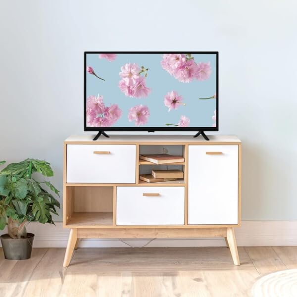 Amazon | ORION OL32CD500C BASIC ROOM [32V型 地上・BS・110度CS