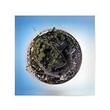 artboxONE Poster 50x50 cm Städte Mövenpick-Hotel - 