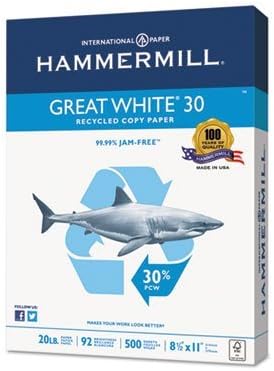 Great White 30 Recycled Paper, 92 Bright, 20lb, LTR, 500/RM, 10 RM/CT