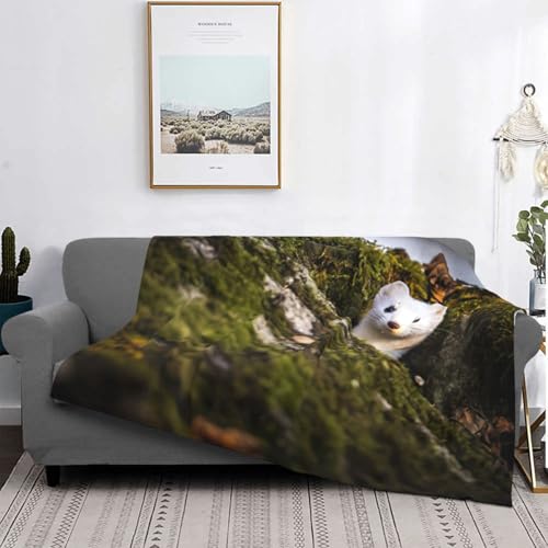 Couverture de lit belette microfibre EdWal anti frois léger - 5