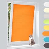 【Richtige Messung des Rollos】Bitte Messen Sie Glasbreite beim Kauf. Bestellbreite=Glasbreite+ ca.2-4cm (um eine besserer Blockierungseffekt zu erzielen.), Bestellhöhe = Höhe des gesamten Fensterrahmens. Zum Beispiel: Zur einen 51cm breite Fensterglas ist dann die Bestellbreite 51cm + 2cm+2cm = 55cm. Bitte achten Sie auf Nicht Überschreiten Fenstergriff bei der Messung, sonst es wird bei der Bewegungen des Rollos stören.