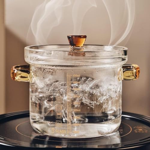 Olla de Vidrio Transparente para Recetas Individuales y Cenas en Casa