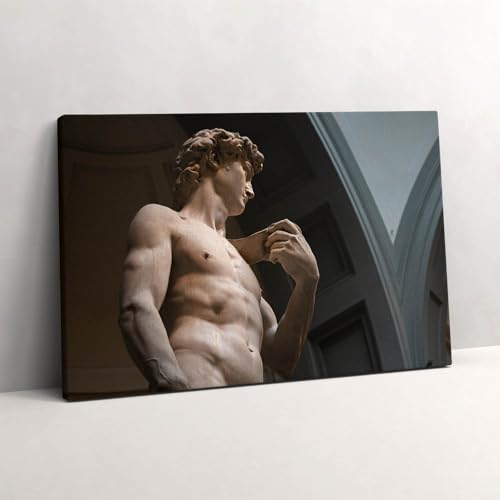 Peinture sur toile David Michel-Ange tableau photo 60x40cm pour habiller un mur vide avec élégance