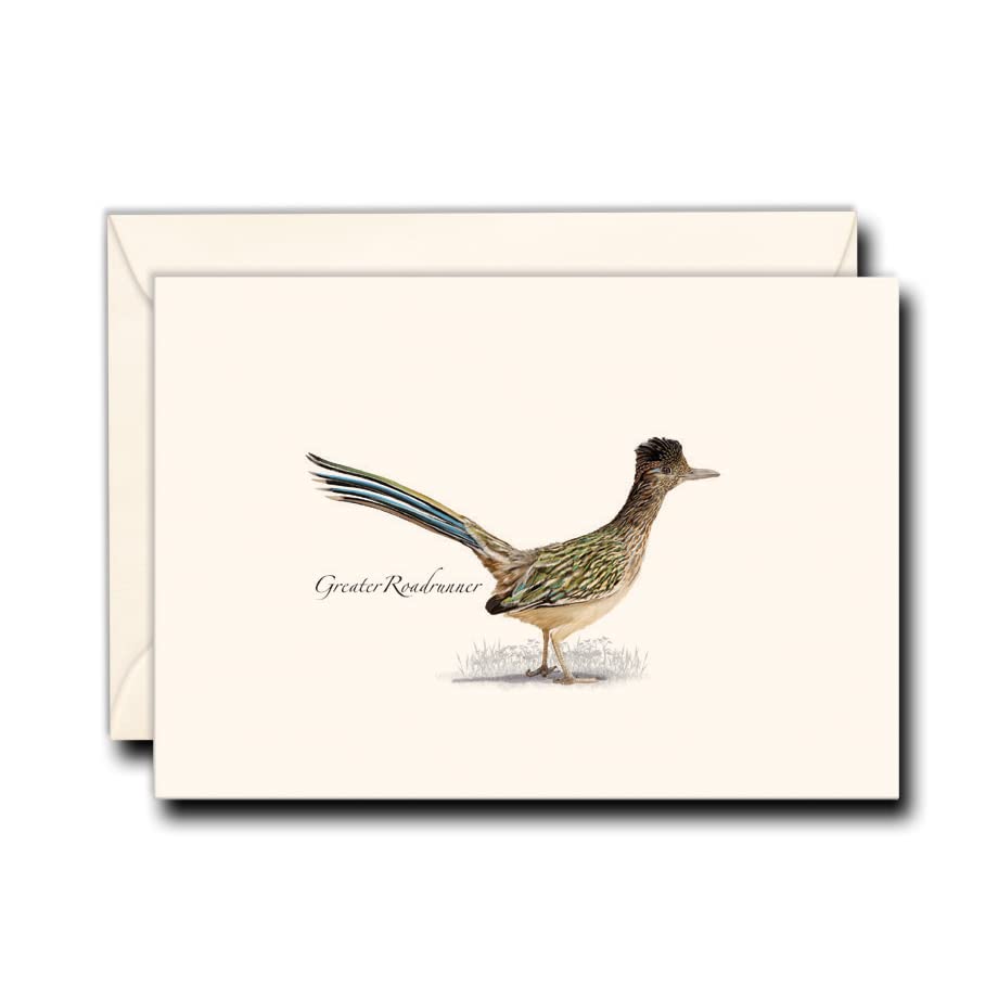 Image of Earth Sky + Water - Roadrunner Notecard Set - 8 Blank Cards with Envelopes