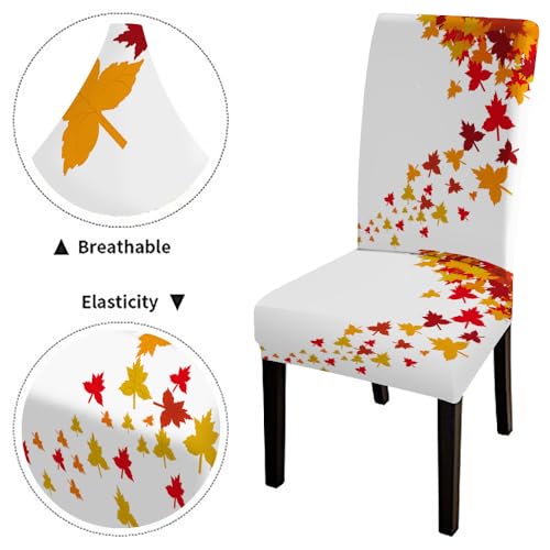 Emmteey Fall Maple Chair Slipcover Autumn Leaves Dining Chair Slipcovers Set Of 4 Thanksgiving Removable Washable Dining Chairs Covers Spandex Stretch Chair Protector For Kitchen Hotels thumb #3