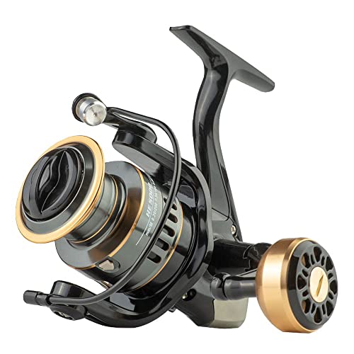 󍂐\! 5+1BBA~p[mudlCNCA~Xv[ MA5.2:1\gΉyʃXsjO[HS3000v