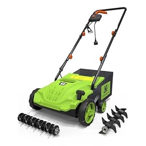 2-in-1 Electric Dethatcher Scarifier, Lawn Dethatcher with Collection Bag, 4-Position Depth Adjustment,13-Inch Working Width, Foldable Handle Design for Easy Carrying and Storage,Thatcher for Lawn