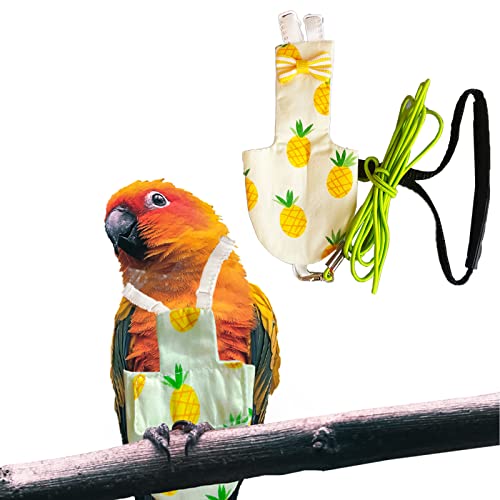 Dnoifne Bird Diapers Flight Set with Green Leash, Bird Diaper with Cute Pattern, Washable and Reusable Parrot Nappy, Pet…